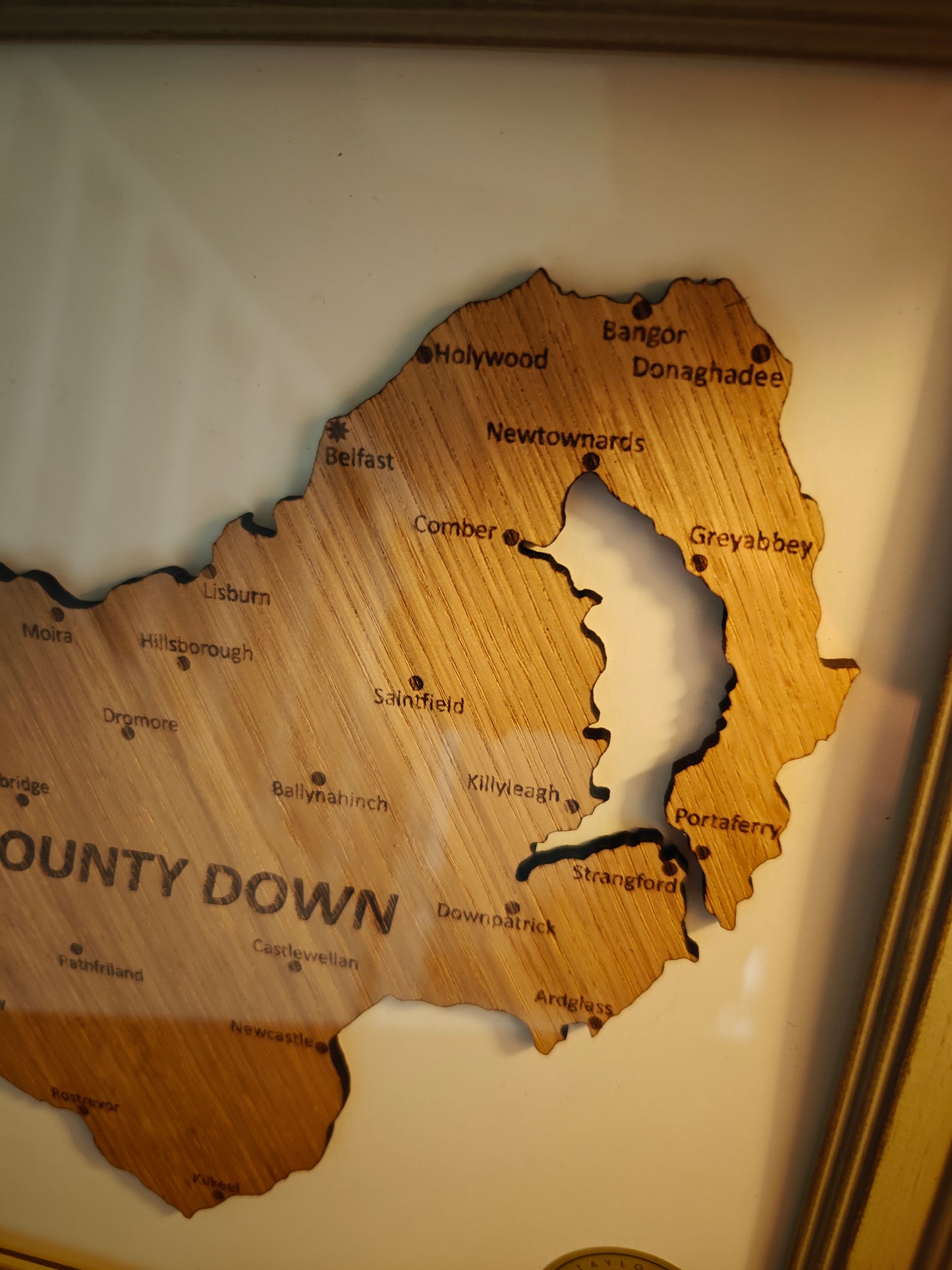 County Down Map